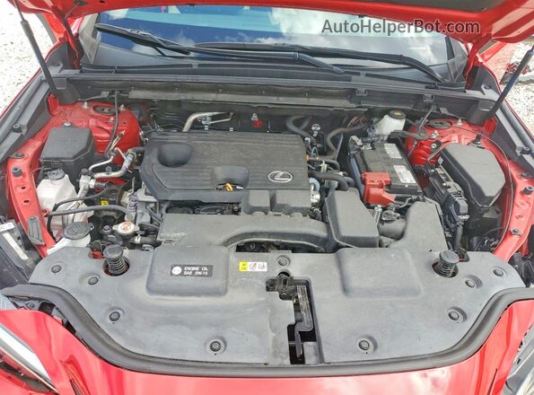 2T2ADCAZ7PC005327 2023 LEXUS NX Красный Вид задней части салона
