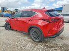 2023 Lexus Nx 250 Base Красный vin: 2T2ADCAZ7PC005327
