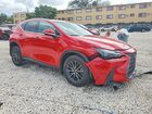 2023 Lexus Nx 250 Base Красный vin: 2T2ADCAZ7PC005327