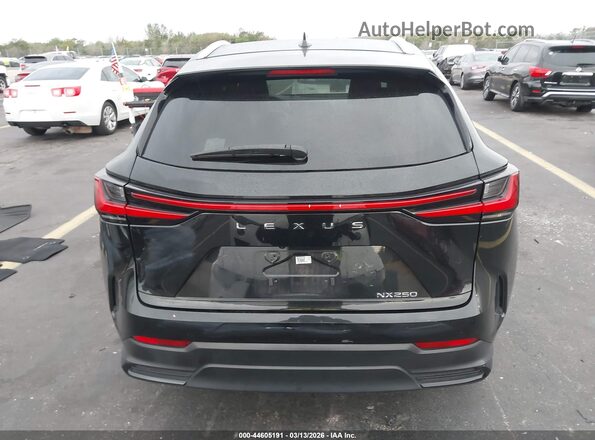 2T2ADCAZXPC005502 2023 LEXUS NX 250 Black 