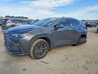 2024 Lexus Nx 250 Base Gray vin: 2T2ADCAZXRC009049