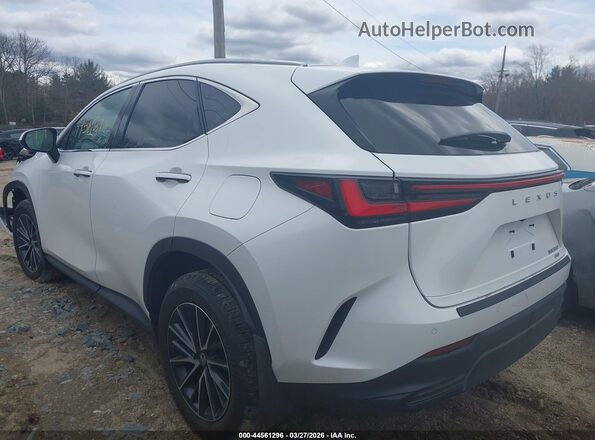 2T2AGCEZ0TC105149 2026 LEXUS NX 350 Белый Задняя левая четверть