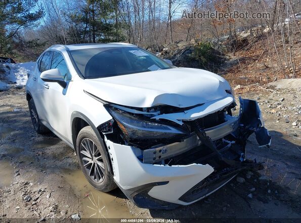 2T2AGCEZ0TC105149 2026 LEXUS NX 350 Белый Передняя правая четверть