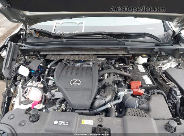 2T2AGCEZ5SC083325 2025 LEXUS NX 350 Champagne Widok z tyłu