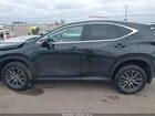 2024 Lexus Nx 350   Black vin: 2T2AGCEZ7RC057416