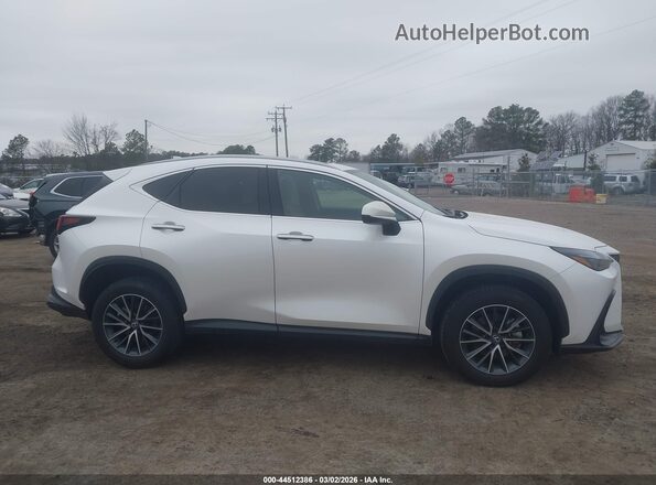 2T2AGCEZ7SC082385 2025 LEXUS NX 350 White Widok wnętrza z tyłu