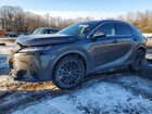 2024 Lexus Rx 350 Premium Gray vin: 2T2BAMCA1RC081123
