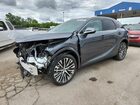 2025 Lexus Rx 350 Base Gray vin: 2T2BAMCA3SC112717