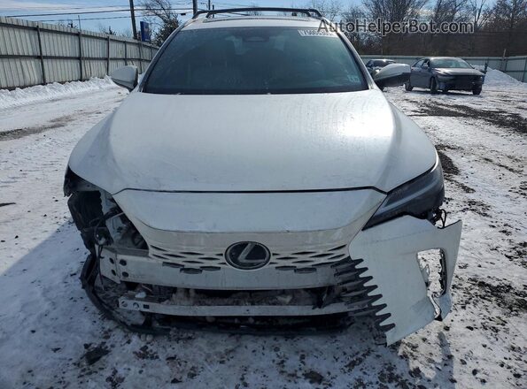 2T2BAMCA5RC054295 2024 LEXUS RX Белый Вид спереди