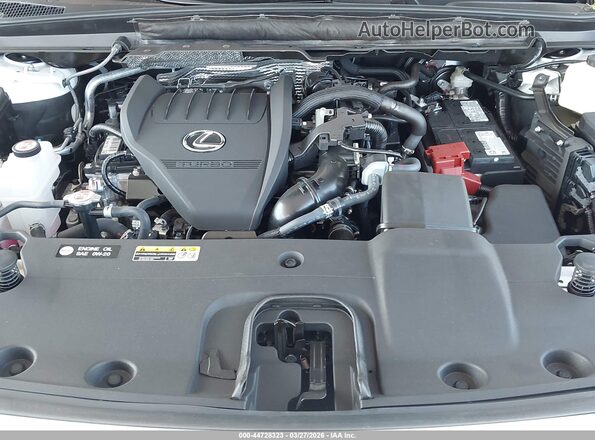 2T2BAMCA7TC133930 2026 LEXUS RX 350 Белый Вид сзади