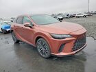2026 Lexus Rx 350h Premium+ Оранжевый vin: 2T2BBMCA0TC110454