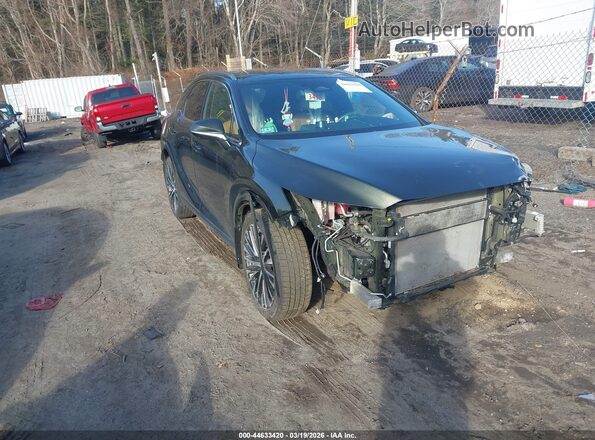 2T2BBMCA5PC011490 2023 LEXUS RX 350H Зеленый Передняя правая четверть