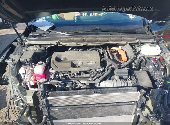 2T2BBMCA5PC011490 2023 LEXUS RX 350H Зеленый Вид сзади