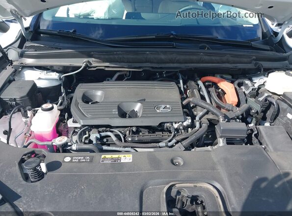 2T2BBMCA6SC081833 2025 LEXUS RX 350H Белый Вид сзади