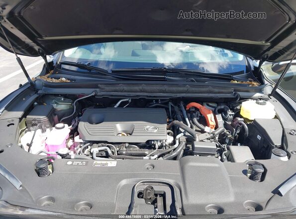 2T2BBMCA7SC079850 2025 LEXUS RX 350H Зеленый Вид сзади