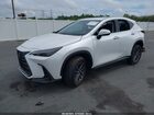 2025 Lexus Nx 250 Premium White vin: 2T2GDCAZ0SC029519