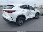 2025 Lexus Nx 250 Premium White vin: 2T2GDCAZ0SC029519