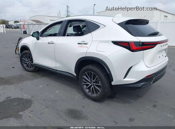 2T2GDCAZ0SC029519 2025 LEXUS NX 250 White Trasero izquierdo