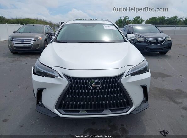 2T2GDCAZ0SC029519 2025 LEXUS NX 250 White Vista del cuadro de instrumentos
