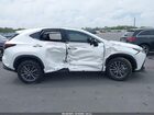 2025 Lexus Nx 250 Premium White vin: 2T2GDCAZ0SC029519