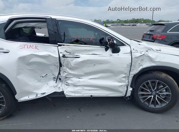 2T2GDCAZ0SC029519 2025 LEXUS NX 250 White Vista frontal
