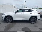 2025 Lexus Nx 250 Premium White vin: 2T2GDCAZ0SC029519