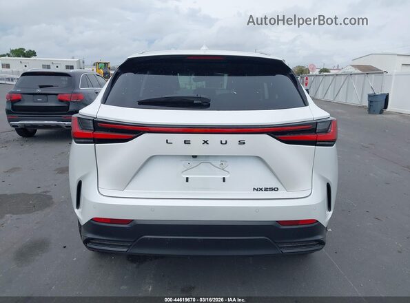 2T2GDCAZ0SC029519 2025 LEXUS NX 250 White 