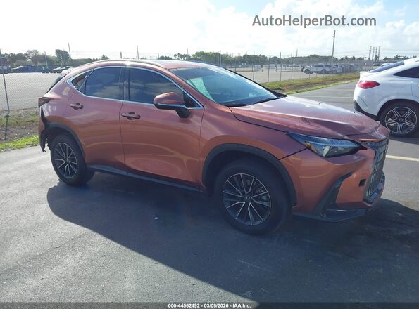 2T2GDCAZ1SC027200 2025 LEXUS NX 250 Brown წინა მარჯვენა
