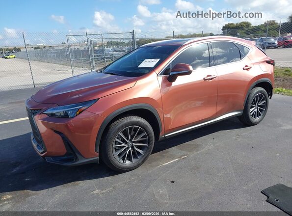 2T2GDCAZ1SC027200 2025 LEXUS NX 250 Brown წინა მარცხენა ხედი სამი მეოთხედიდან