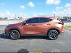 2025 Lexus Nx 250 Premium Brown vin: 2T2GDCAZ1SC027200