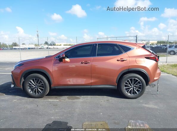 2T2GDCAZ1SC027200 2025 LEXUS NX 250 Brown სალონის 360-გრადუსიანი ხედი