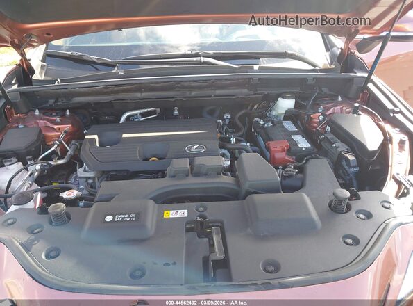 2T2GDCAZ1SC027200 2025 LEXUS NX 250 Brown უკანა ხედი