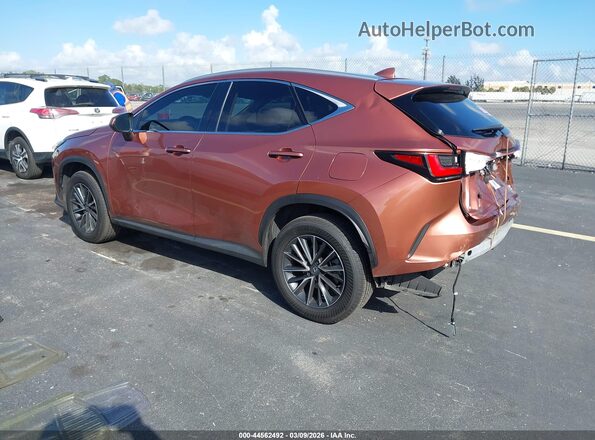 2T2GDCAZ1SC027200 2025 LEXUS NX 250 Brown უკანა მარცხენა
