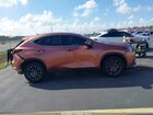 2025 Lexus Nx 250 Premium Brown vin: 2T2GDCAZ1SC027200