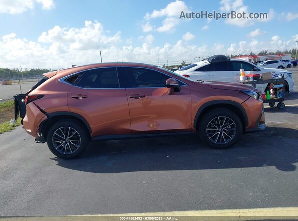 2T2GDCAZ1SC027200 2025 LEXUS NX 250 Brown უკანა სალონის ხედი