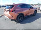 2025 Lexus Nx 250 Premium Brown vin: 2T2GDCAZ1SC027200