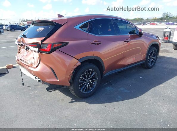 2T2GDCAZ1SC027200 2025 LEXUS NX 250 Brown უკანა მარჯვენა