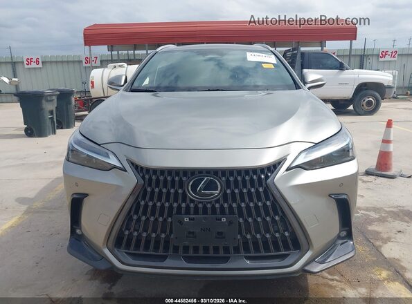 2T2GDCAZ3RC006004 2024 LEXUS NX 250 Серебряный Вид задней части салона