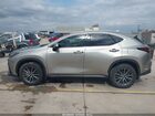 2024 Lexus Nx 250 Premium Серебряный vin: 2T2GDCAZ3RC006004