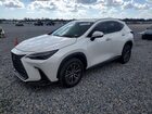 2024 Lexus Nx 250 Premium White vin: 2T2GDCAZ6RC012279