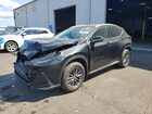 2022 Lexus Nx 250 Premium Black vin: 2T2GDCAZ7NC001852