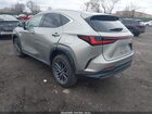 2023 Lexus Nx 350 Premium Beige vin: 2T2GGCEZ0PC017413