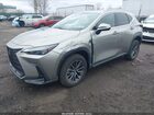 2023 Lexus Nx 350 Premium Beige vin: 2T2GGCEZ0PC017413