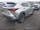 2023 Lexus Nx 350 Premium Beige vin: 2T2GGCEZ0PC017413