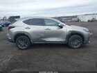 2023 Lexus Nx 350 Premium Beige vin: 2T2GGCEZ0PC017413