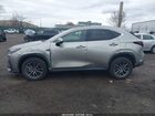 2023 Lexus Nx 350 Premium Beige vin: 2T2GGCEZ0PC017413