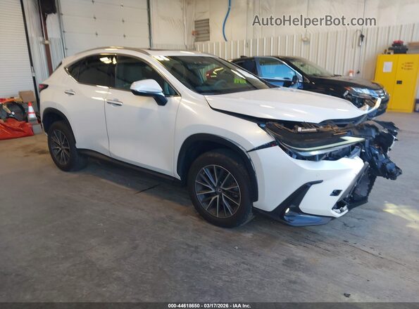 2T2GGCEZ1NC009446 2022 LEXUS NX 350 White Առջևի աջ