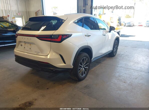 2T2GGCEZ1NC009446 2022 LEXUS NX 350 White Հետևի աջ