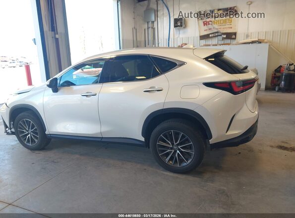 2T2GGCEZ1NC009446 2022 LEXUS NX 350 White Սալոնի 360 աստիճան տեսք