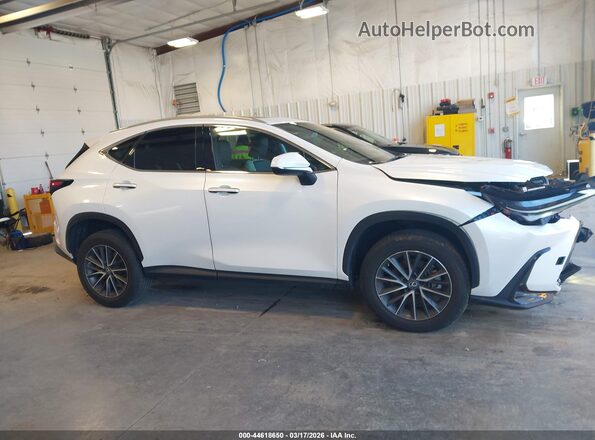 2T2GGCEZ1NC009446 2022 LEXUS NX 350 White Սալոնի հետևի տեսք